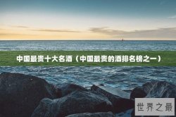 中国最贵十大名酒（中国最贵的酒排名榜之一）