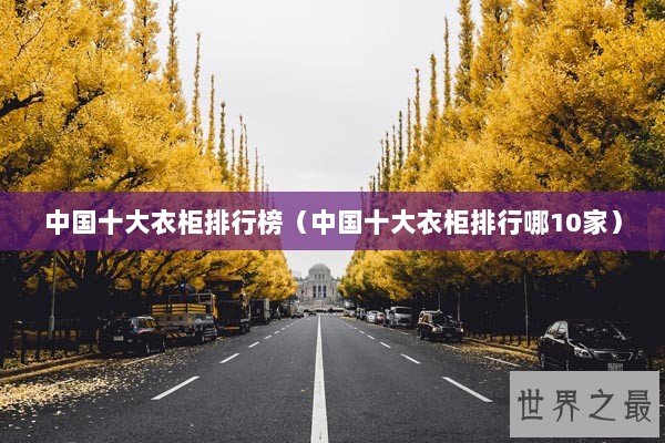 中国十大衣柜排行榜（中国十大衣柜排行哪10家）