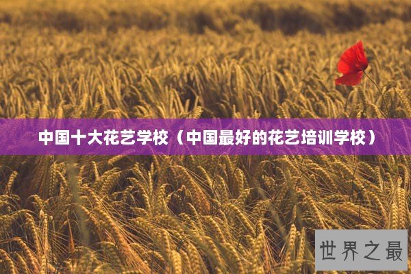 中国十大花艺学校（中国最好的花艺培训学校）