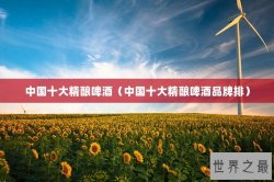 中国十大精酿啤酒（中国十大精酿啤酒品牌排）