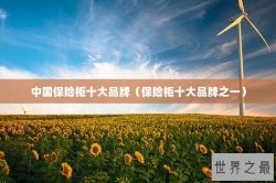 中国保险柜十大品牌（保险柜十大品牌之一）