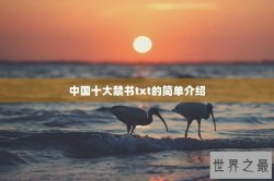 中国十大禁书txt的简单介绍
