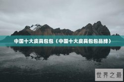 中国十大皮具包包（中国十大皮具包包品牌）