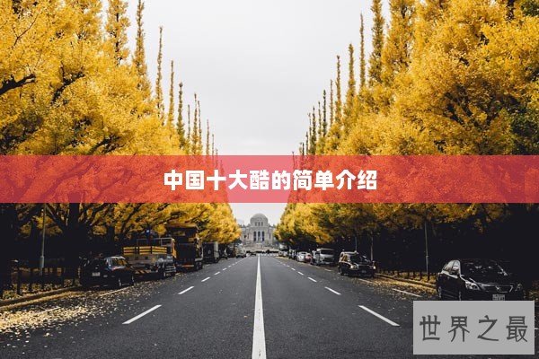 中国十大酷的简单介绍