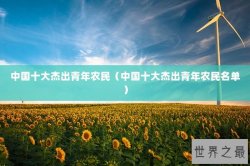 中国十大杰出青年农民（中国十大杰出青年农民名单）