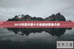 2015年度中国十大品牌的简单介绍