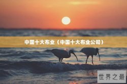 中国十大布业（中国十大布业公司）