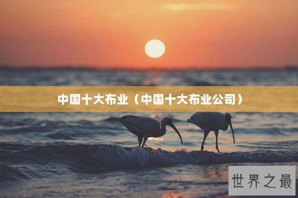 中国十大布业(中国十大布业公司) 中国十大布业(中国十大布业公司)