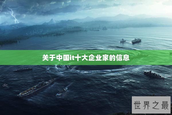 关于中国it十大企业家的信息 关于中国it十大企业家的信息