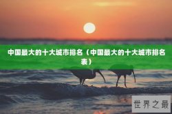 中国最大的十大城市排名（中国最大的十大城市排名表）