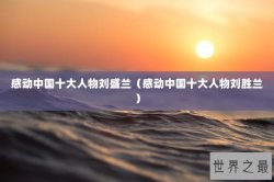 感动中国十大人物刘盛兰（感动中国十大人物刘胜兰）