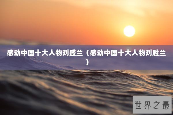 感动中国十大人物刘盛兰（感动中国十大人物刘胜兰）