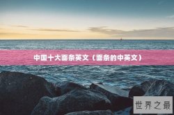 中国十大面条英文（面条的中英文）
