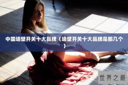 中国墙壁开关十大品牌（墙壁开关十大品牌是那几个）
