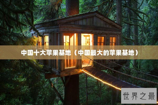 中国十大苹果基地（中国最大的苹果基地）