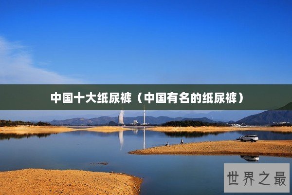 中国十大纸尿裤（中国有名的纸尿裤）