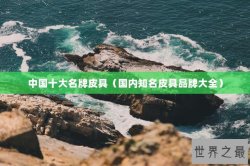 中国十大名牌皮具（国内知名皮具品牌大全）