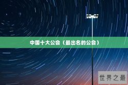 中国十大公会（最出名的公会）