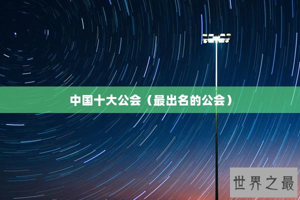 中国十大公会（最出名的公会）