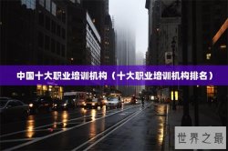 中国十大职业培训机构（十大职业培训机构排名）