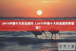 2015中国十大创业城市（2015中国十大创业城市有哪些）