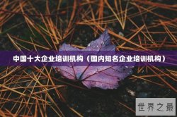 中国十大企业培训机构（国内知名企业培训机构）