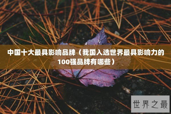 中国十大最具影响品牌（我国入选世界最具影响力的100强品牌有哪些）