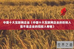 中国十大互联网企业（中国十大互联网企业的创始人是不是企业的控股人老板）