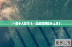 中国十大贵酒（中国最贵酒是什么酒）