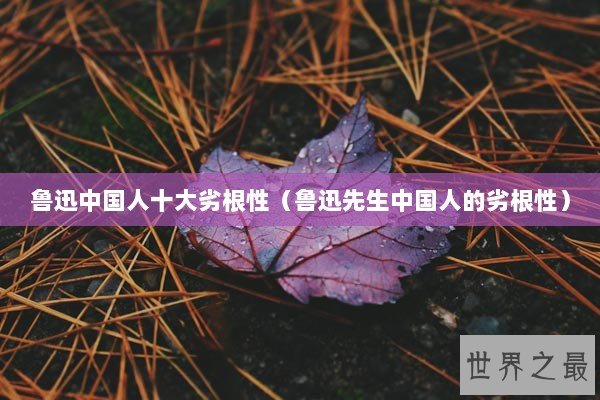 鲁迅中国人十大劣根性（鲁迅先生中国人的劣根性）