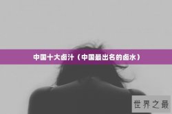 中国十大卤汁（中国最出名的卤水）