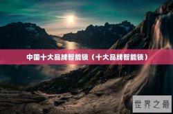 中国十大品牌智能锁（十大品牌智能锁）