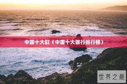 中国十大缸（中国十大银行排行榜）