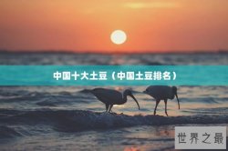 中国十大土豆（中国土豆排名）