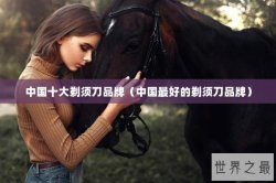 中国十大剃须刀品牌（中国最好的剃须刀品牌）