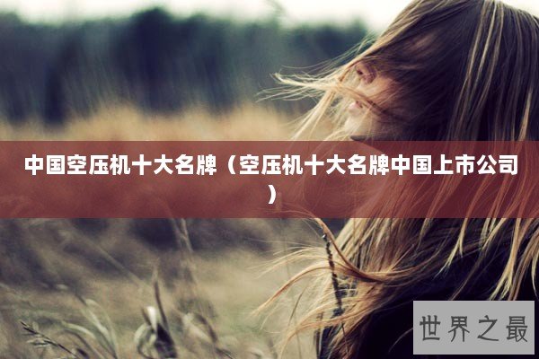 中国空压机十大名牌（空压机十大名牌中国上市公司）
