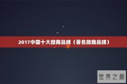 2017中国十大微商品牌（著名微商品牌）