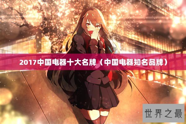 2017中国电器十大名牌（中国电器知名品牌）