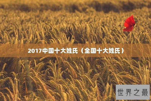 2017中国十大姓氏（全国十大姓氏）