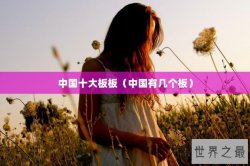 中国十大板板（中国有几个板）