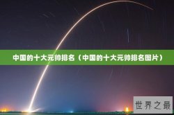 中国的十大元帅排名（中国的十大元帅排名图片）
