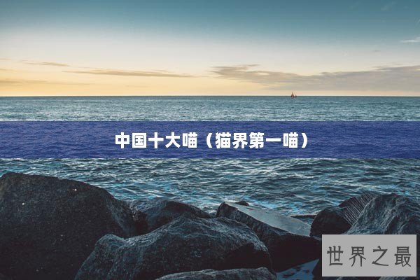 中国十大喵（猫界第一喵）