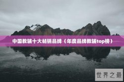 中国教辅十大畅销品牌（年度品牌教辅top榜）
