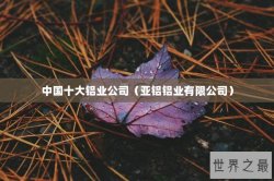 中国十大铝业公司（亚铝铝业有限公司）