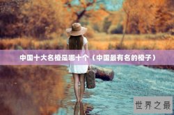 中国十大名橙是哪十个（中国最有名的橙子）