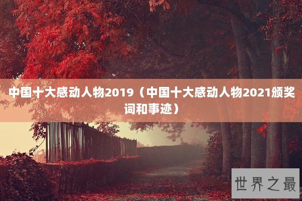中国十大感动人物2019（中国十大感动人物2021颁奖词和事迹）