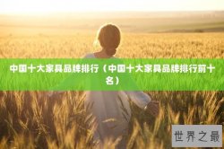 中国十大家具品牌排行（中国十大家具品牌排行前十名）