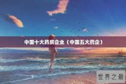 中国十大药房企业（中国五大药企）