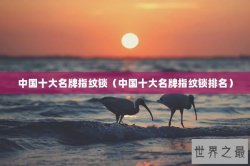 中国十大名牌指纹锁（中国十大名牌指纹锁排名）
