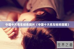 中国十大名车标志图片（中国十大名车标志图解）